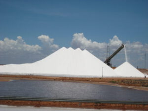 Multinacionales a la caza del litio latinoamericano/La sal, oro blanco que condena a muerte