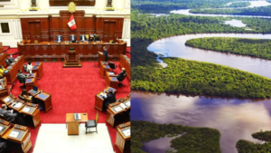 Modifican Ley Forestal y facilitan deforestación en Peru